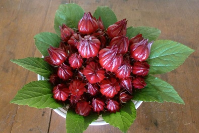 Cách làm mứt hoa Atiso đỏ chua ngọt nhâm nhi ngày Tết