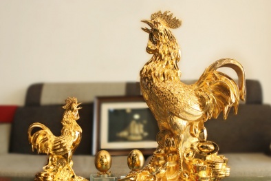 Bỏ chục triệu đồng rước gà phong thủy… Trung Quốc