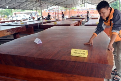 Phản gỗ nguyên tấm tiền tỷ gây sốt tại chợ hoa Đà Nẵng