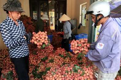 Hải Dương: Nâng cao năng suất, chất lượng sản phẩm, hàng hóa cho các doanh nghiệp 