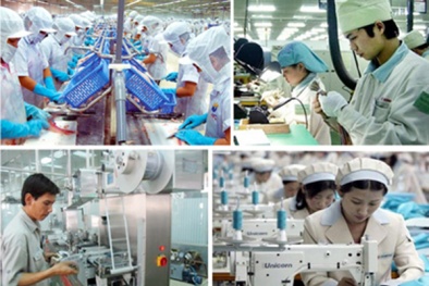 Nâng cao năng suất chất lượng: Ghi nhận kết quả, đẩy mạnh phát triển trong giai đoạn mới