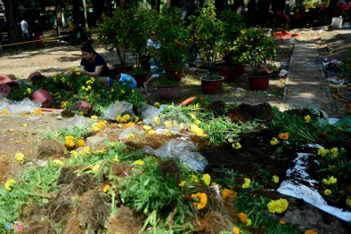 Kết thúc ngày sắm Tết: Tiểu thương vứt hàng trăm cây hoa đào, hoa cúc vào xe rác