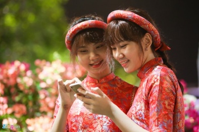 15 lời chúc Tết Đinh Dậu hay