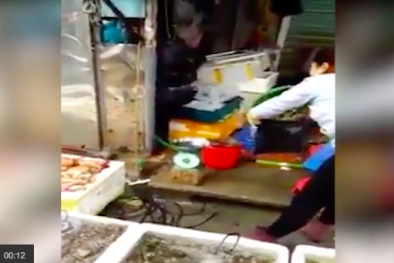 Phát hiện thử đoạn cân điêu hải sản ở chợ tại Hải Phòng, BQL chợ nói gì?