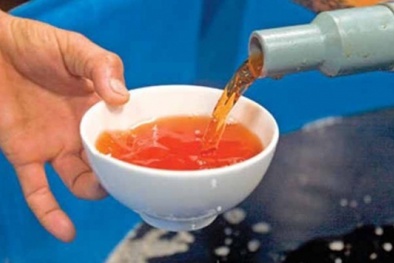 Nâng cao năng suất chất lượng nhờ đổi mới công nghệ chế biến nước mắm