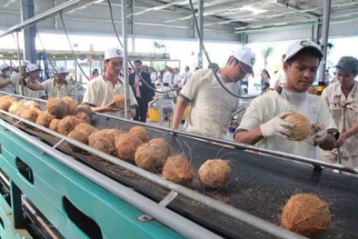 Bến Tre: Nâng cao năng suất, chất lượng sản phẩm hàng hóa doanh nghiệp