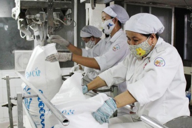 Thanh Hoá: Nhiều DN chú trọng công nghệ, nâng cao chất lượng sản phẩm