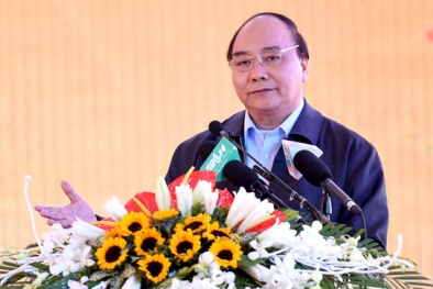 Thủ tướng: Cởi trói, kiến tạo phát triển nông nghiệp hữu cơ