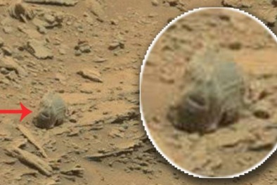 Bí ẩn 'hộp sọ' của người ngoài hành tinh được phát hiện tại sao Hoả