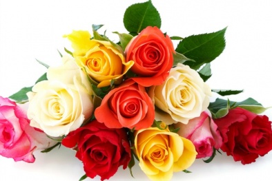 Thông điệp tình yêu qua màu sắc hoa hồng tặng phụ nữ nhân ngày Vanlentine