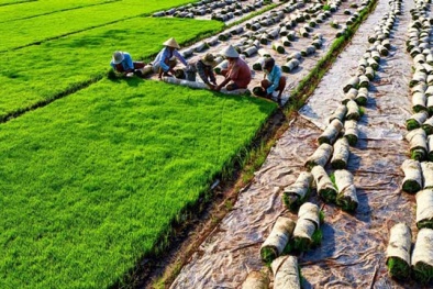 Phê duyệt Quy hoạch khu Nông nghiệp công nghệ cao Phú Yên