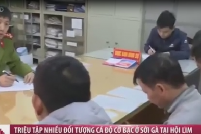 Triệu tập nhiều đối tượng cá độ cờ bạc ở sới gà tại Hội Lim