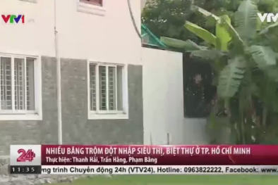 Trộm, cướp liên tiếp 'ghé thăm' biệt thự, siêu thị tại TP.HCM