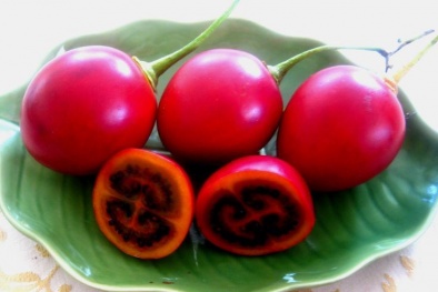 Cà chua lạ 1 triệu đồng/kg 'hiếm hàng' khiến dân Hà Thành xôn xao