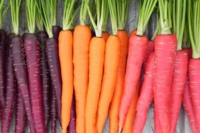 Cà rốt tím: Siêu thực phẩm với sức khỏe?