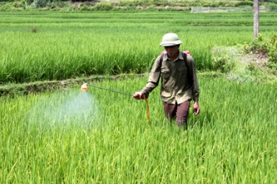 Sự thật kinh hoàng về thuốc diệt cỏ paraquat Bộ NN&PTNT vừa cấm