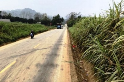 Tin mới nhất vụ tai nạn giao thông nghiêm trọng đêm Valentine, 2 cặp nam nữ tử vong