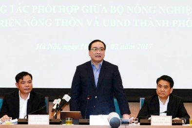 Hà Nội đột phá xây chợ đầu mối 250 triệu USD