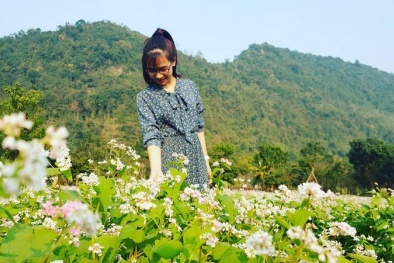 Ngắm vườn hoa tam giác mạch bung nở giữa tháng Giêng ở Ninh Bình