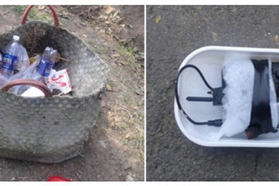 Phát hiện thiết bị phá sóng gây nhiễu hệ thống thông tin điện lực