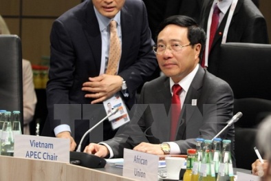 Phó Thủ tướng tham dự Hội nghị Bộ trưởng Ngoại giao G20