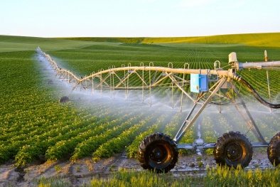 Dành 100 nghìn tỷ đồng cho phát triển nông nghiệp công nghệ cao