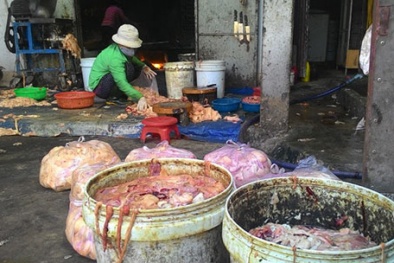 Bắt quả tang hơn 1 tấn mỡ lợn bẩn chuẩn bị 'bung' ra thị trường