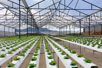 50% doanh nghiệp Việt Nam ứng dụng công nghệ xanh