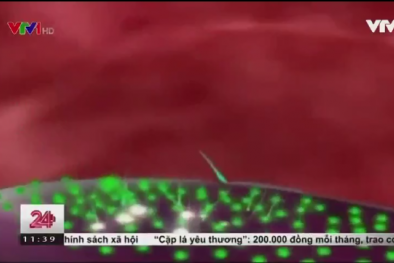 Đức thử nghiệm robot siêu nhỏ diệt tế bào ung thư