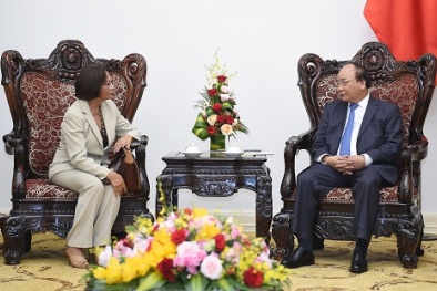 Thủ tướng Nguyễn Xuân Phúc tiếp các Đại sứ Morocco, Timor-Leste