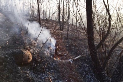 Tỉnh Quảng Ninh thông tin về vụ cháy lớn gần chùa Lôi Âm