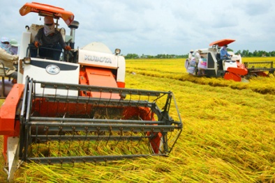 Tái cơ cấu nông nghiệp: Đẩy mạnh ứng dụng KH&CN là cấp bách