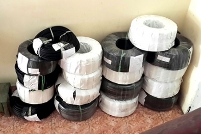 Điểm lại các vụ bắt giữ thiết bị điện ‘rởm’ gây hoang mang dư luận