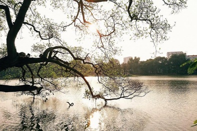 Dự báo thời tiết mới nhất: Miền Bắc rét đậm kéo dài