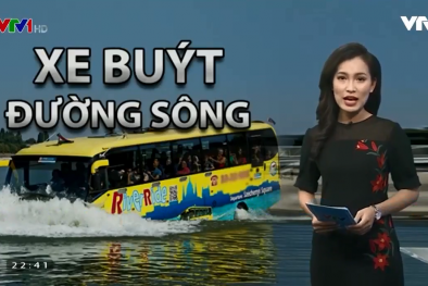 Bất ngờ xe bus đường sông tại TP.HCM