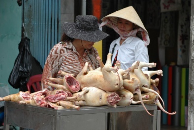 Nguy cơ mắc bệnh dại khi ăn thịt chó bẩn