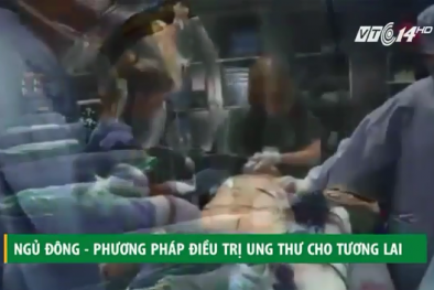 Ngủ đông - Phương pháp điều trị ung thư cho tương lai