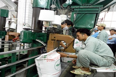 Quyền và nghĩa vụ của người sản xuất với chất lượng sản phẩm hàng hóa