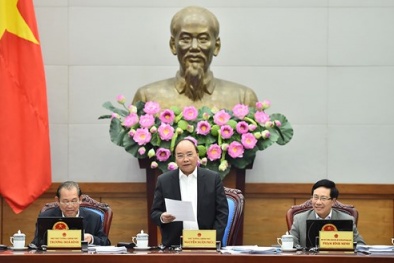 Chính sách mới của Chính phủ có hiệu lực từ tháng 3/2017