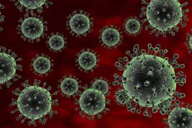 Cúm virus gia cầm ăn phổi người: Làm gì để bảo toàn tính mạng?