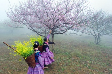 Khám phá thiên đường du lịch Mộc Châu trong tiết trời tháng 3