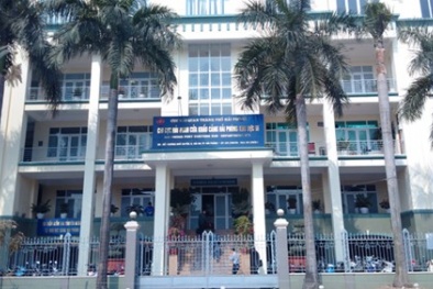 Phó Thủ tướng yêu cầu kiểm tra phản ánh tiêu cực tại Hải quan Hải Phòng