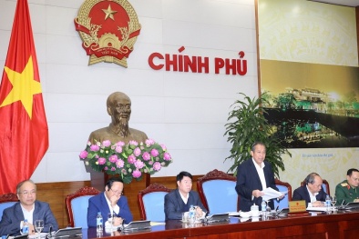 Phó Thủ tướng Trương Hòa Bình yêu cầu giám sát chặt Formosa