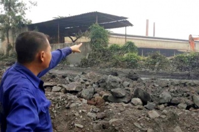 Làm rõ phản ánh nhà máy gạch gây ô nhiễm ở thị xã Đông Triều