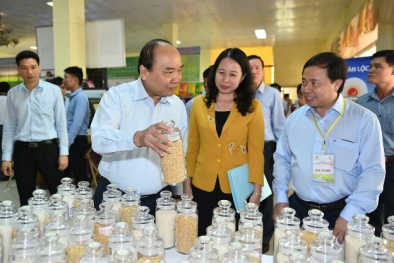 Thủ tướng: ‘Sửa thể chế mạnh mẽ, bãi bỏ những việc không cần thiết’