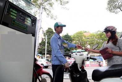 Dán tem cột đo xăng dầu chống thất thu thuế ở các cửa hàng