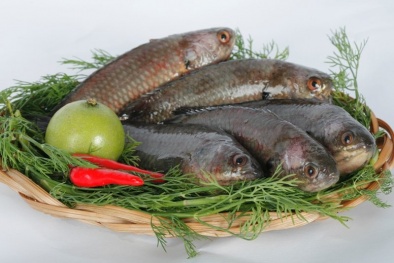 Những món ngon từ cá ‘ông ăn bà nức nở khen’