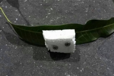 Clip: 'Đinh tặc' ở Sơn La rải xốp gắn đinh nhọn, bẫy ôtô cực nguy hiểm