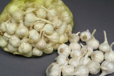 Người dân đảo Lý Sơn thu lãi ‘khủng’ từ ‘vàng trắng’