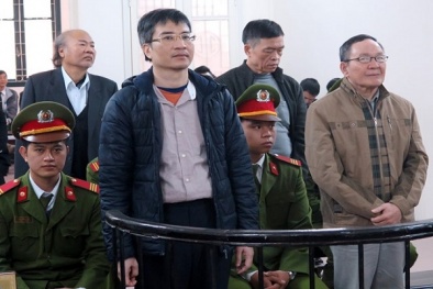 Đại án Vinashinlines: Cha con Giang Kim Đạt kháng cáo
